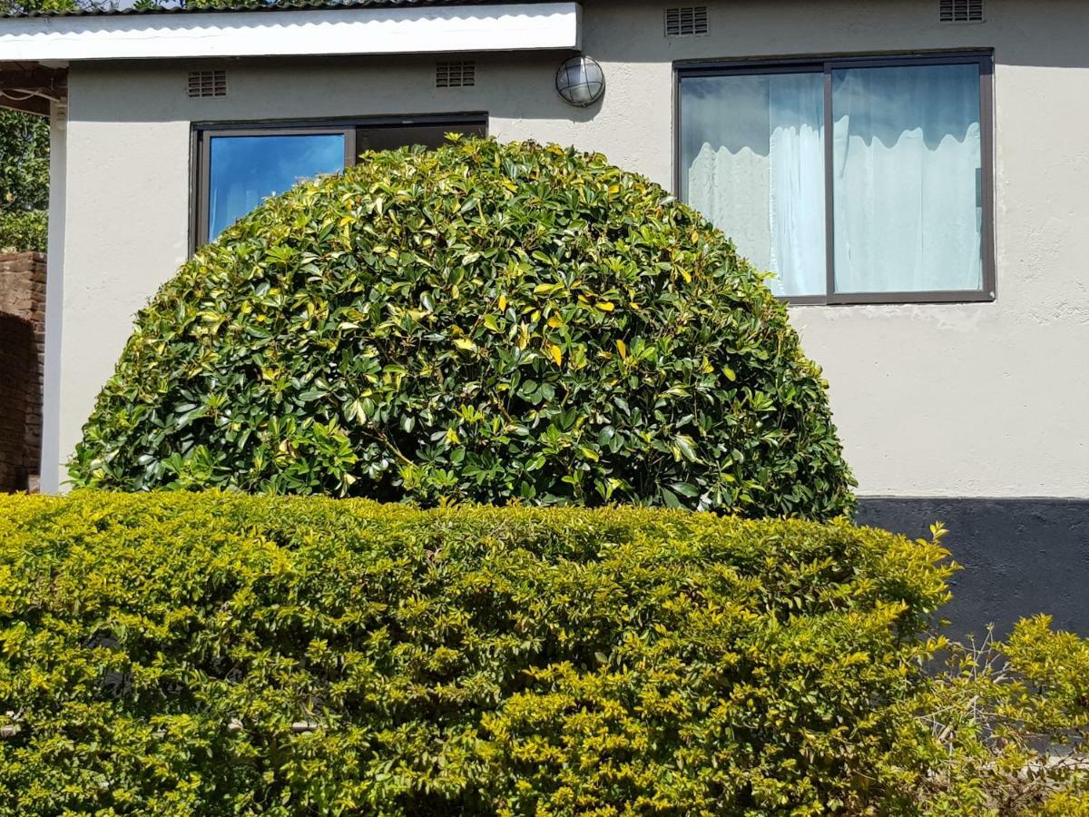 Limbe Chinyonga Guesthouse מראה חיצוני תמונה